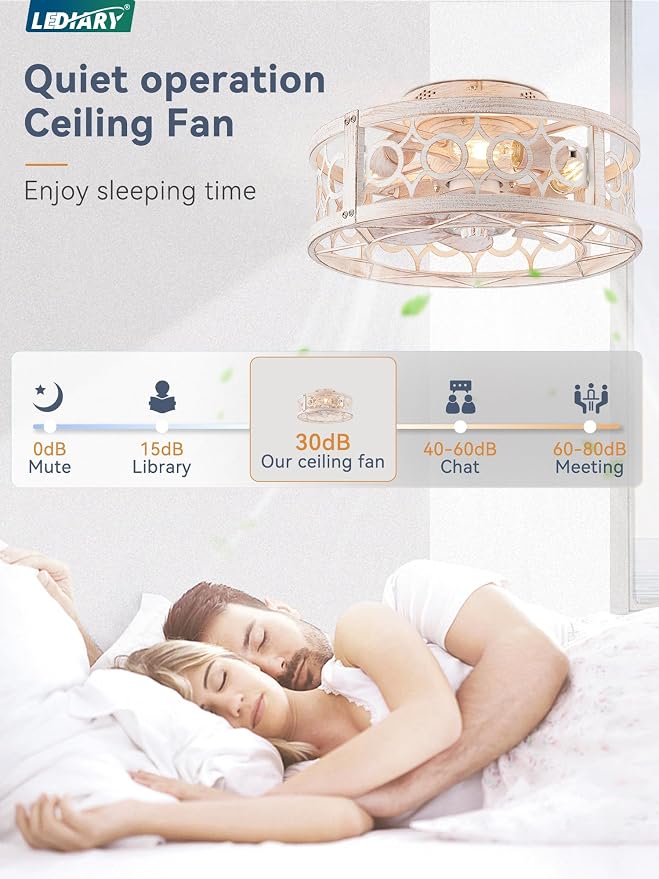 LEDIARY Caged Ceiling Fan and Remote, 16in Small Low Profile Ceiling Fans, 6 Speed and Reversible Farmhouse Flush Mount Ceiling Fan for Bedroom, Kitchen, Living room