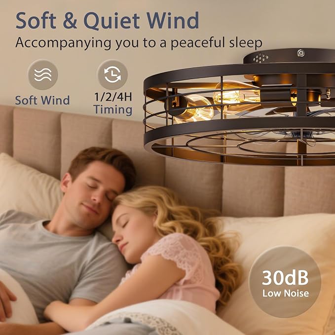 VOLISUN Caged Ceiling Fan with Light and Remote,23.6 inch Fandelier Ceiling Fan with Light Flush Mount, Farmhouse Bladeless Ceiling Fans with Lights for Kitchen,Bedroom