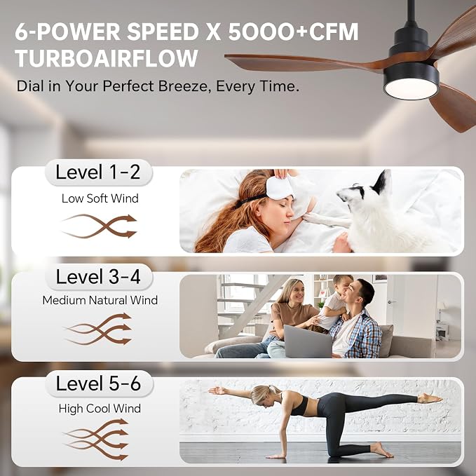 CACI Mall 48 inch Ceiling Fans with Lights, Smart Indoor/Outdoor Ceiling Fan, Remote Control, Compatible with Alexa/Google, Small 3 Blade Solid Wood Ceiling Fans for Bedroom Patio