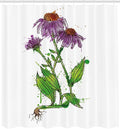 Ambesonne Coneflower Shower Curtain, Watercolor Style Inspired Pattern of Echinacea Flowers Paint Splashes, Cloth Fabric Bathroom Decor Set with Hooks, 69" W x 84" L, Purple Green White