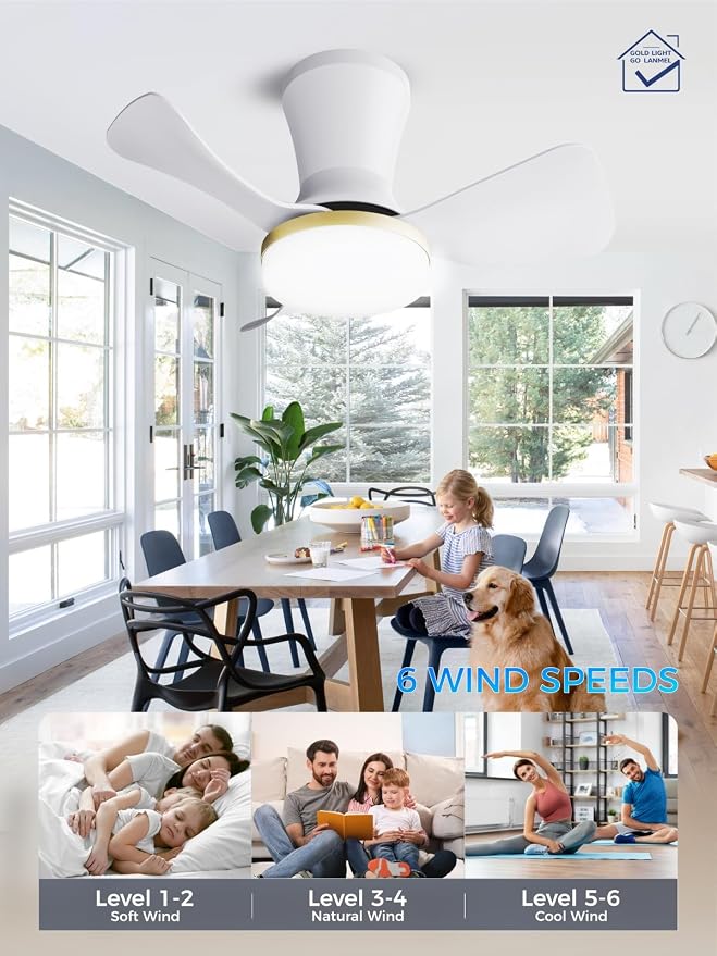 LANMEL 22 Inch Flush Mount Ceiling Fan with Light and Remote, Low Profile Modern Ceiling Fan, 6 Speed, Reversible, 3000k-6500k Dimmable LED, Quiet DC Motor for Indoor Outdoor, White Gold