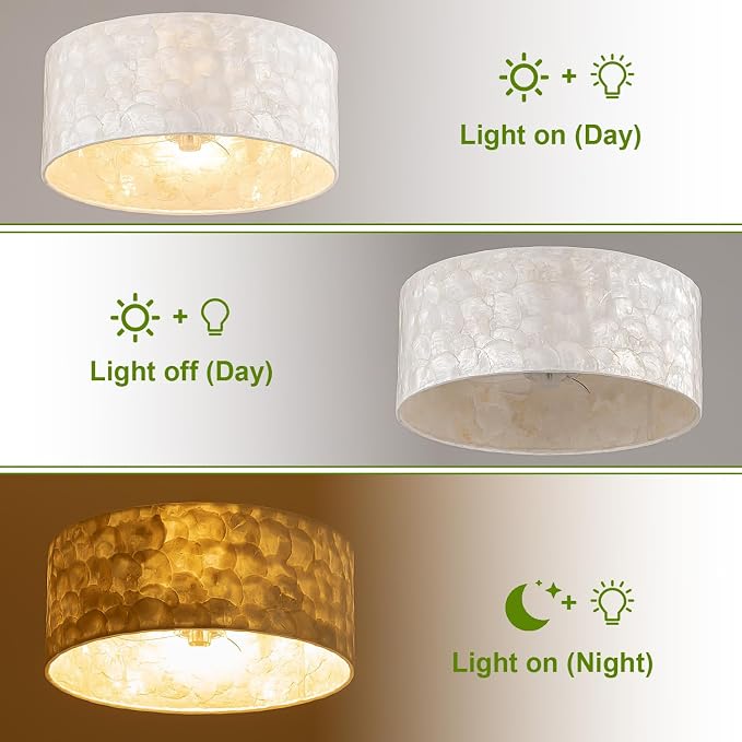 Boho Coastal Ceiling Fan with Lights and Remote, Enclosed Caged Design with Shell Lampshade — Fandelier for Bedroom, Nursery, Foyer, Kitchen (6 Speeds)