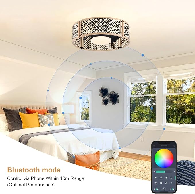 Ganeed 20" Boho Caged Fandelier with Lights, 18W Dimmable LED Rattan Ceiling Fan with Lights and Remote Control, Enclosed 6 Speeds RGB Low Profile Bamboo Fan Light for Bedroom, Living Room, Kitchen