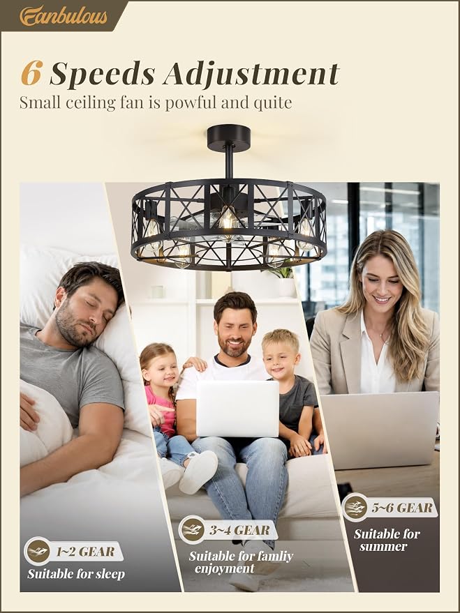 Fanbulous 26 Inch Fandelier Caged Ceiling Fans with Lights and Remote, Black Bladeless Ceiling Fan with 6 Speeds and Timing, Farmhouse Samll Fan Lights Ceiling Fixtures for Kitchen, Bedroom-Black