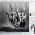 Ambesonne Africa Shower Curtain, Zebra Rolling in The Dust Savage Animal Mammal Activity Eco Photo, Cloth Fabric Bathroom Decor Set with Hooks, 69" W x 84" L, Black and White