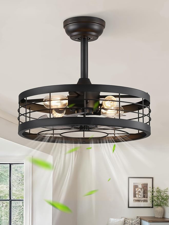 LEDIARY 18 inch Black Caged Ceiling Fan with Light, Bladeless Industrial Ceiling Fan with Remote, Farmhouse Fan Lights Ceiling Fixtures for Kitchen, Bedroom, Outdoor（6 Speed, Timing）-Black