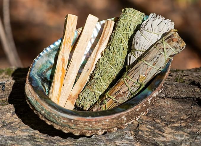 Abalone Shell Smudging Bowl Seashell Incense Burner, 5-6 Inches