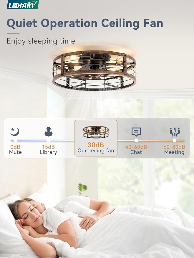 LEDIARY 20" Caged Ceiling Fan with Light and Remote, Low Profile Flush Mount Fandelier, Black Gold Bladeless Enclosed Small Ceiling Fan Light Fixtures, Rustic Farmhouse Style for Bedroom, Outdoor