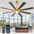 Large Ceiling Fans with Lights: Modern 72 Inch 8 Blade Outdoor Ceiling Fan with Remote APP Control - Dimmable Black Gold Big Fan light Indoor Reversible 6 Speed Quiet DC Motor