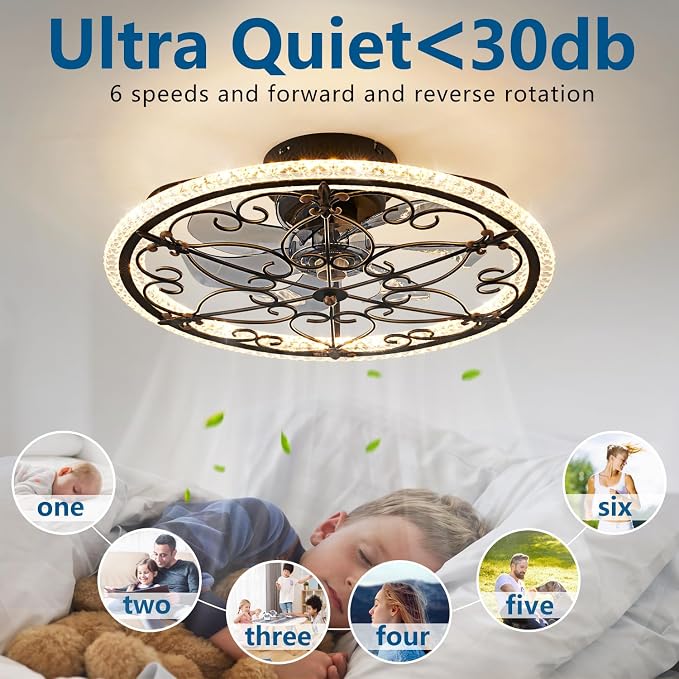Dalouguan Rustic Black Caged Ceiling Fan with Light, Farmhouse Caged Ceiling Fan with Remote, LED Low Profile Ceiling Light for Bedroom Kitchen Living Room