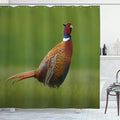 Ambesonne Green Shower Curtain, Czech Republic European Scene of a Creature on Blurry Backdrop Photo, Cloth Fabric Bathroom Decor Set with Hooks, 69" W x 84" L, Ginger Chocolate and Red