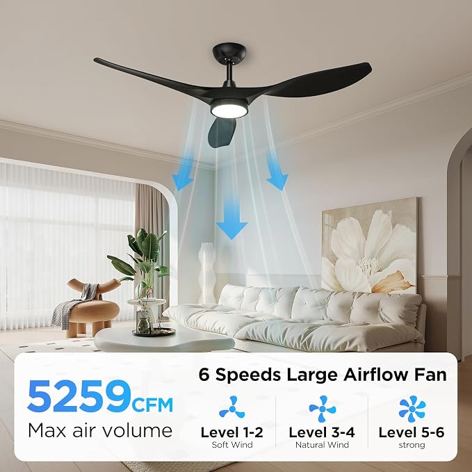 Roomratv Ceiling Fans with Lights, 52 Inch Black Ceiling Fan with Remote Control, Quiet Noiseless Reversible DC Motor 6 Speeds Timers 3 CCT Dimmable Modern Fan Light Indoor for Bedroom Living Room