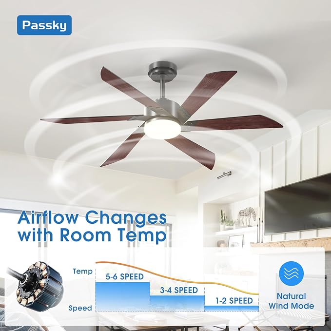 Passky Ceiling Fans with Lights, 52 inch Ceiling Fan with Light and Remote Control, 3CCT, Dimmable, Reversible, Noiseless, Black Contemporary Ceiling Fan for Bedroom, Living Room