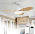 Sofucor 47 Inch Smart Ceiling Fan Modern Ceiling Fans with Lights and Remote Works with Alexa/Google/APP FLush Mount Ceiling Fans with 6 Speeds Reversible DC Motor & Timer for Patio Bedroom Outdoor