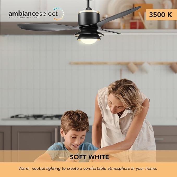 Globe Electric 27106 48" Ceiling Fan with LED Light, Remote Control, WhisperQuiet DC Motor, 6 Speeds, Black with Brass Accents, Reversable Airflow, Ceiling Fans with Lights, Ceiling Lighting
