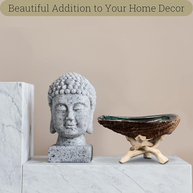 Wish Well Natural Abalone Shell 5-6 Inch Large with Wooden Stand - Incense Holder and Sage Smudge Bowl for Cleansing, Smudging, and Meditation - Palo Santo Holder & Beautiful Home Decor