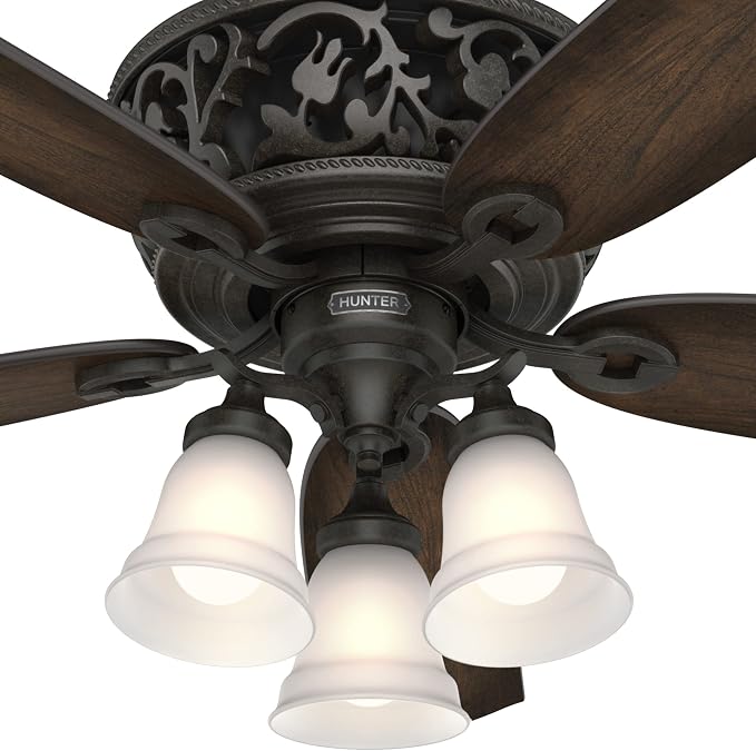 Hunter Promenade, Indoor, Ceiling Fan, Quiet, 54 inch, Brittany Bronze