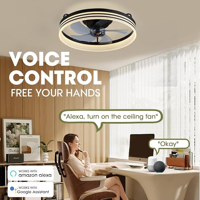 LUDOMIDE Smart Ceiling Fan with Lights and Alexa/Google Assistant/APP Control, 20" Low Profile Fan with 6 Speeds, for Bedroom, Living Room, Patio