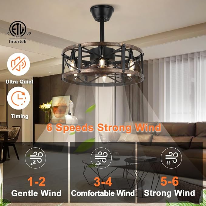 SHLUCE 19" Farmhouse Fandelier Ceiling Fan with Light, Caged Bladeless Ceiling Fans with Lights and Remote, Modern Small Enclosed Ceiling Fans with Lights for Living Room, Bedroom, Black - ETL