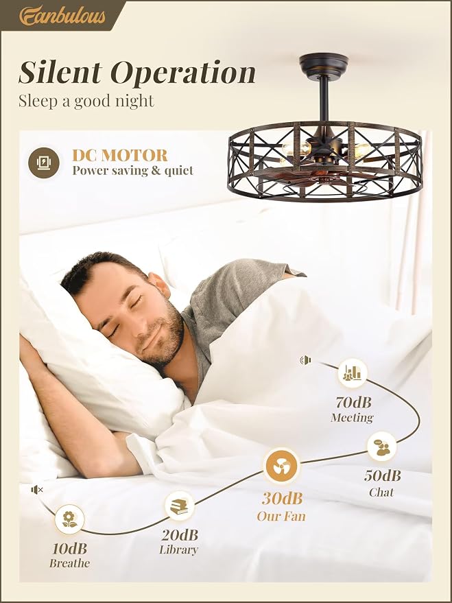 Fanbulous 23 Inch Fandelier Caged Ceiling Fans with Lights and Remote, Black Farmhouse Ceiling Fan, Bladeless Samll Fan Lights Ceiling Fixtures for Kitchen, Bedroom-Black and Gold