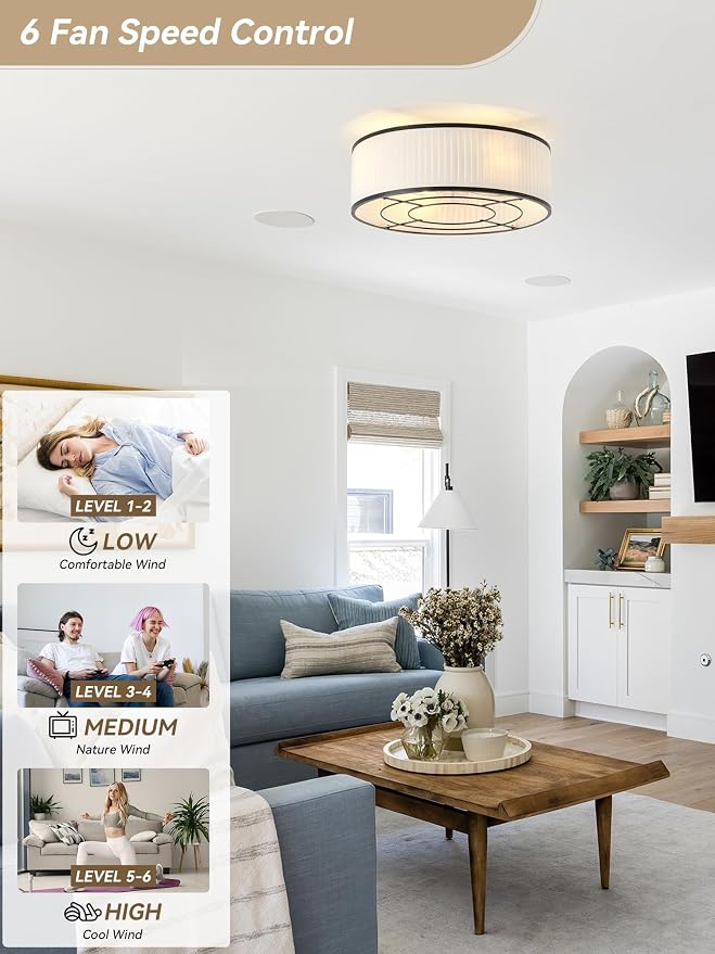 Boho Ceiling Fan with Light Flush Mount, 20" Black Caged Ceiling Fan with Lights Remote Control, Bladeless Ceiling Fan 6 Speeds for Bedroom, Living Room, Nursery