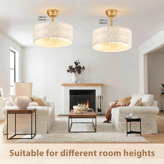 Boho Chandelier Ceiling Fan, Capiz Shell Fandelier Ceiling Fan with Light and Remote Control, Coastal Caged Ceiling Fan for Bedroom,Living Room,Nursery,Foyer(6 Speed, Timing,Adjustable Height)