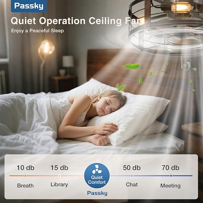 Passky 20 Inch Farmhouse Caged Ceiling Fans with Lights and Remote, Black Downrod Mount Bladeless Fandelier, 6 Speeds Bladeless Ceiling Fan Light for Bedroom, Kitchen, Living Room, Indoor