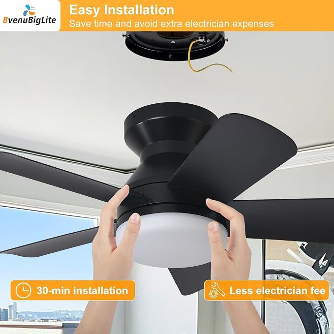 Ceiling fans with lights and Remote: 25 Inch Ceiling Fan with Light Low Profile - Flush Mount Ceiling Fan 5 Blades Reversible 3CCT Dimmable Noiseless for Bedroom (Black)