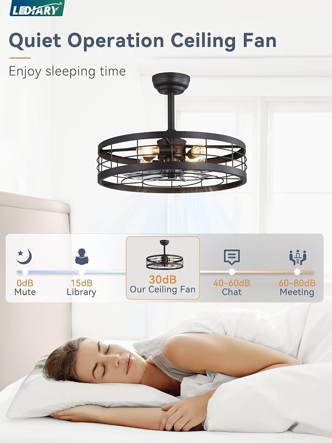 LEDIARY 22 inch Black Caged Ceiling Fan with Light, Bladeless Industrial Ceiling Fan with Remote, Farmhouse Fan Lights Ceiling Fixtures for Kitchen, Bedroom, Outdoor（6 Speed, Timing）-Black