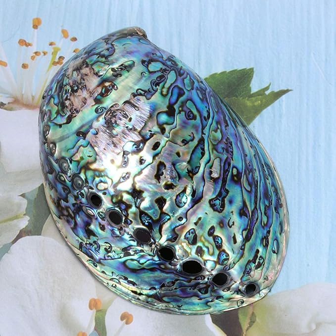 Veemoon Polished Abalone Shell Abalone Shell Smudge Bowl Home Ornament Incense Sage Holder Patio Ashtray - Natural Shells - for Smudge, Meditation, Decoration(12-14cm)