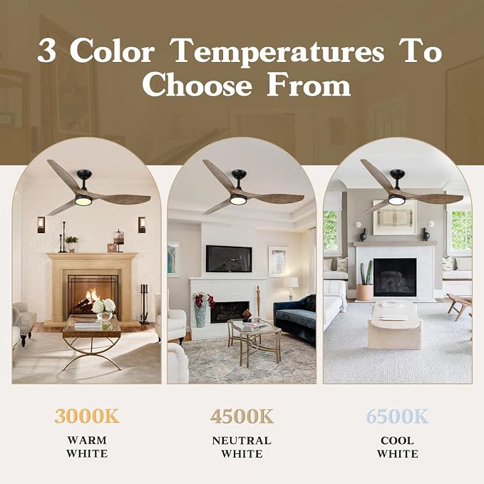 Roomratv Ceiling Fans with Lights,52 Inch,Quiet & Strong Motor,6 Speeds,3CCT,Timer,Easy to Install,Black Modern Ceiling Fan for Living Room,Bedroom,Kitchen,Office,Farmhouse,Patios