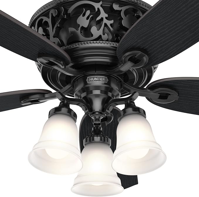 Hunter Promenade, Indoor, Ceiling Fan, Standard Mount, 54 inch, Gloss Black