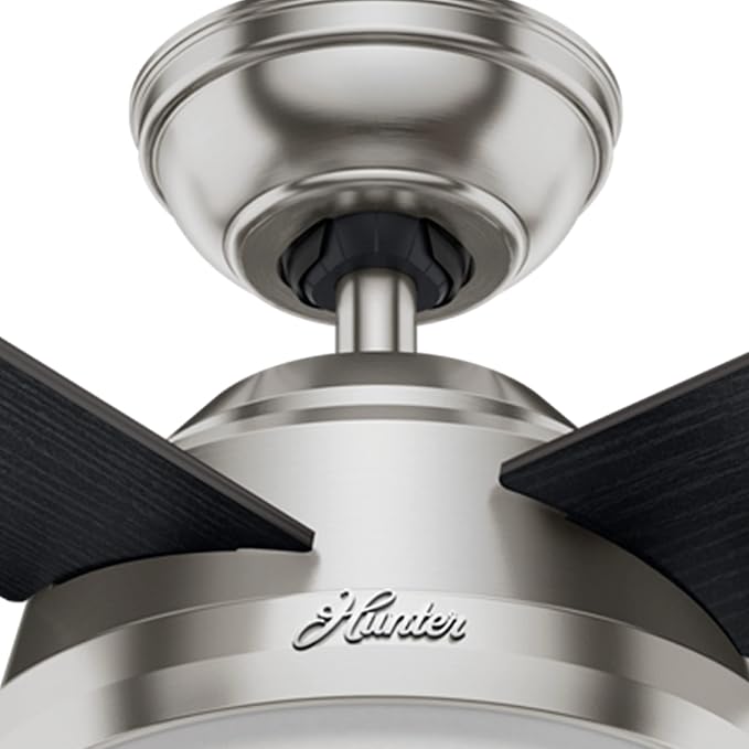 Hunter Dempsey, Indoor, Ceiling Fan, Modern, 52 inch, Brushed Nickel | with LED Light and Remote Control, Standard Mount, 4 Black Oak Blades, For Bedroom, Living Room, Kitchen, 59216