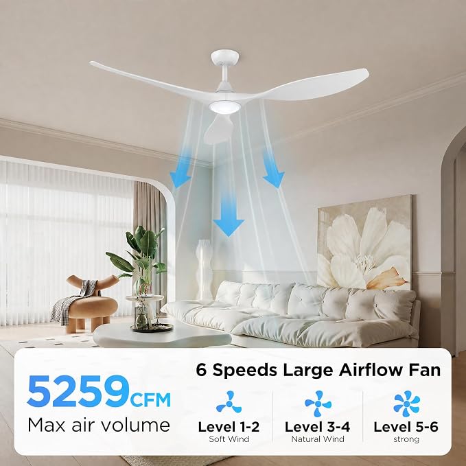 Roomratv Ceiling Fans with Lights and Remote Control,Quiet Noiseless Reversible DC Motor,6 Speeds,Timers, 3 CCT, Indoor Use, Plastic Blades,52 Inch White Modern Ceiling Fan for Bedroom Living Room