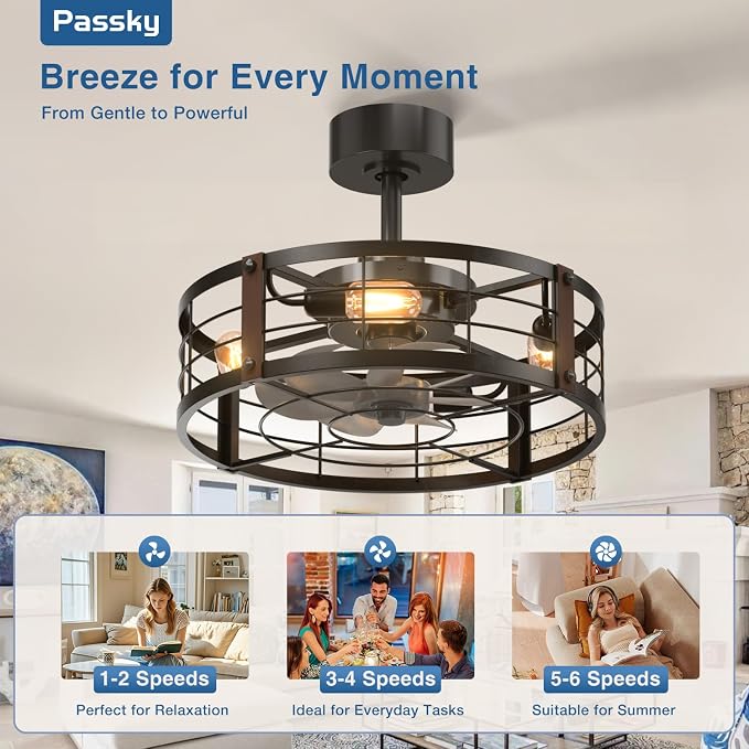 Passky 20 Inch Farmhouse Caged Ceiling Fans with Lights and Remote, Black Downrod Mount Bladeless Fandelier, 6 Speeds Bladeless Ceiling Fan Light for Bedroom, Kitchen, Living Room, Indoor