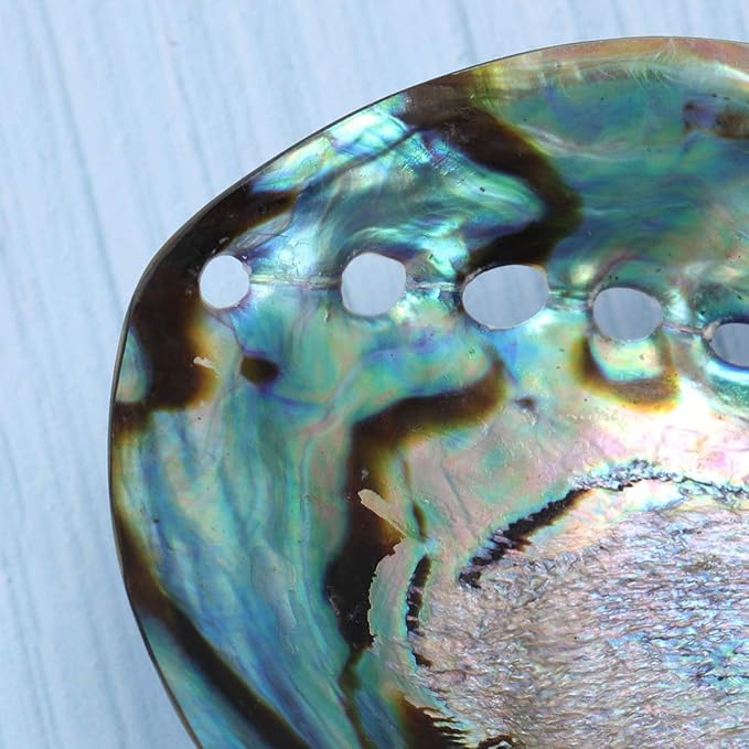 Veemoon Polished Abalone Shell Abalone Shell Smudge Bowl Home Ornament Incense Sage Holder Patio Ashtray - Natural Shells - for Smudge, Meditation, Decoration(12-14cm)
