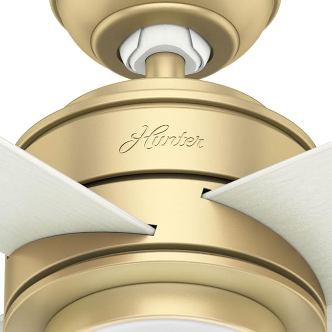 Hunter Hepburn, Indoor, Ceiling Fan, with LED Light, 52 inch, Modern Brass | Standard Mount, Wall Control, 4 Blades, For Bedroom, Living Room, Kitchen, 59320, Includes Bulbs, 59320