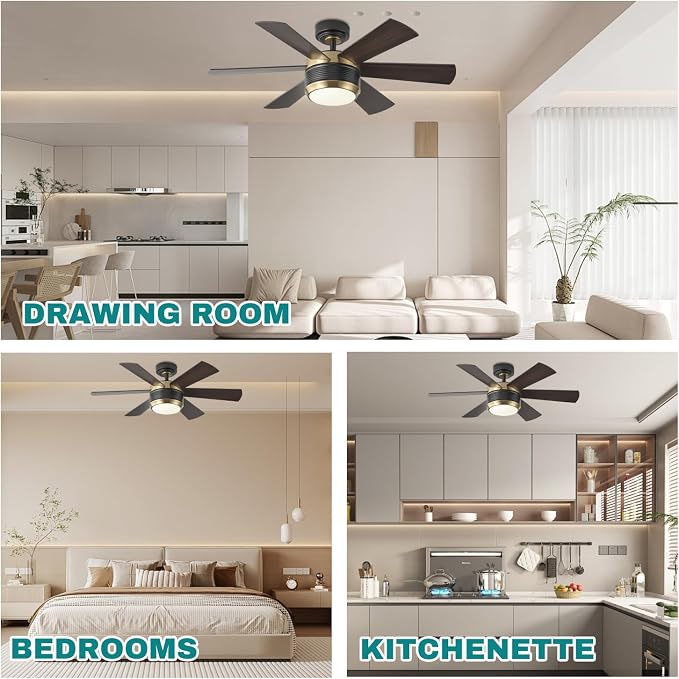 SHOWDI Ceiling Fans with Lights and Remote, Black-Gold, 42 in | 2 Blade Color, Metal Material, App Remote Control, Timer, Reversible, 3CCT, Dimmable for Bedroom, Living room, Indoor