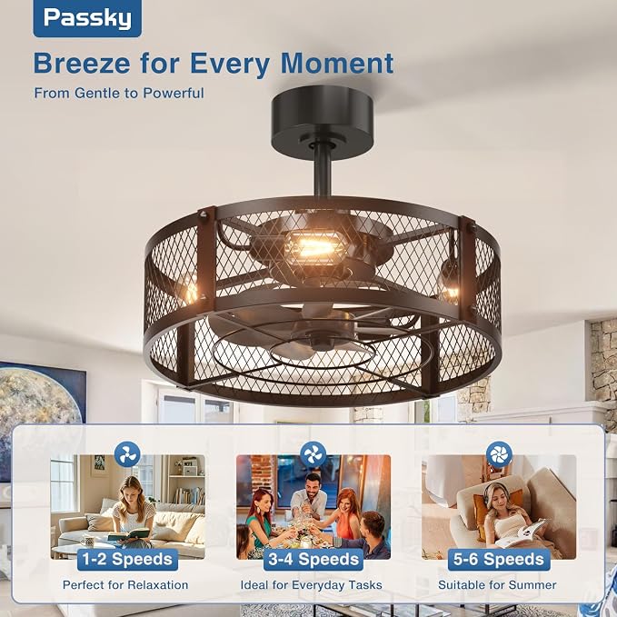 Passky 20 Inch Farmhouse Caged Ceiling Fans with Lights and Remote, Black Downrod Mount Bladeless Fandelier, 6 Speeds Bladeless Ceiling Fan Light for Bedroom, Kitchen, Living Room, Indoor