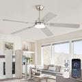 ZMISHIBO 52" Ceiling Fans with Lights, Nickel Modern Ceiling Fan with Remote & App Control, Bedroom Indoor Ceiling Fan with Dual Finish Blades, Quiet & Strong Motor, 24W Dimmable Bright LED Light.