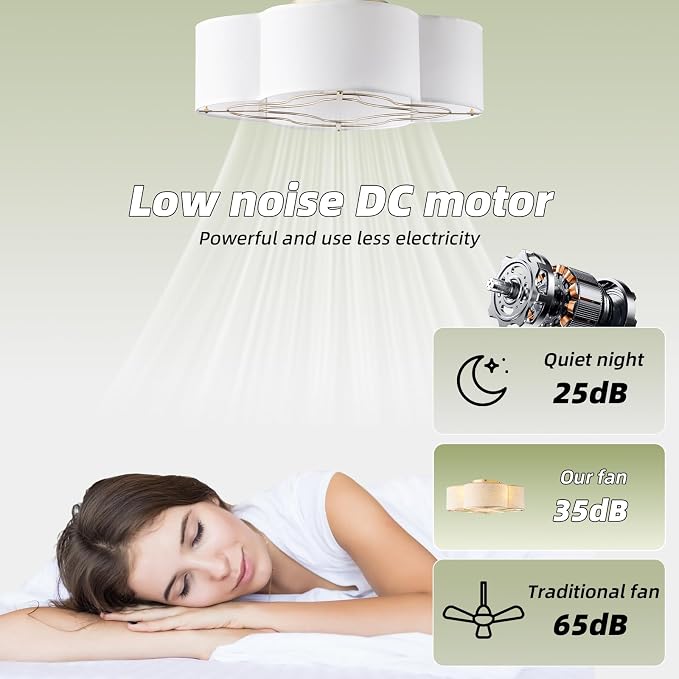 Caged Ceiling Fan with Light, Boho Flush Mount Ceiling Fan with Lights Remote Control, Rattan with 6 Speeds for Bedroom, Living Room, Foyer, Nursery