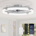 LEDIARY 24" Ceiling Fans with Lights and Remote, Modern Low Profile Ceiling Fan, 3 CCT, Stepless Dimmable, Fandelier Flush Mount Fan Light, 6 Speeds, DC Motor, App & Remote Control for Bedroom(Grey)