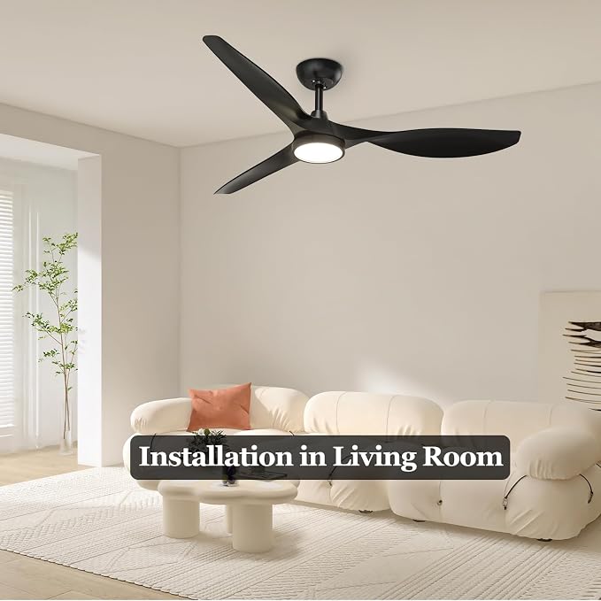 Roomratv Ceiling Fans with Lights, 52 Inch Black Ceiling Fan with Remote Control, Quiet Noiseless Reversible DC Motor 6 Speeds Timers 3 CCT Dimmable Modern Fan Light Indoor for Bedroom Living Room