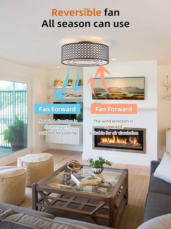20" Black Ceiling Fan with Light Flush Mount, Caged Boho Ceiling Fans with Lights Remote Control, Round with 6 Speeds for Bedroom, Nursery, Living Room