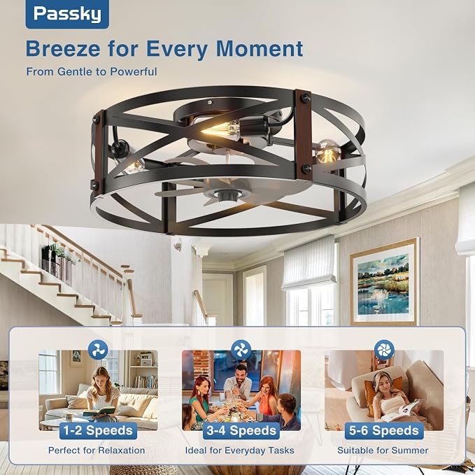 Passky 20" Farmhouse Flush Mount Ceiling Fans with Lights and Remote, Industrial Black Caged Low Profile Fandelier, 6 Speeds Bladeless Ceiling Fan for Bedroom, Kitchen, Living Room