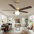 52 Inch Ceiling Fan with Light and Remote, Indoor & Outdoor Brushed Gold Ceiling Fan for Living Room Garage, Quiet DC Motor, Timer, 6 Speeds