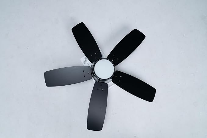 Ceiling Fan 36'' for Small Room Matte Black Modern Fans with Light Remote Control - Reversible Quiet DC Motor Dimmable with 6 Speeds for Bedroom Indoor Use