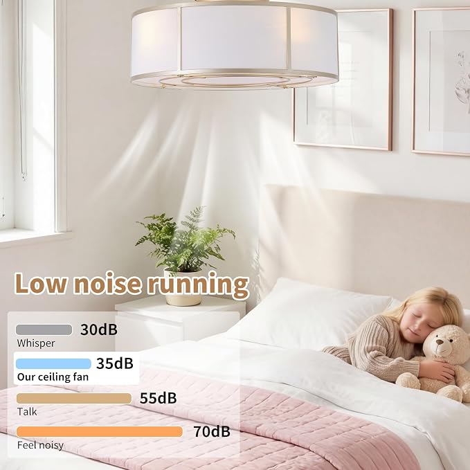hummingbird 20inch Low Profile Caged Ceiling Fans with Lights, Flush Mount Ceiling Fan with Lights and Remote, Bladeless Modern Enclosed with 6 Speeds for Bedroom, Kitchen, Gold
