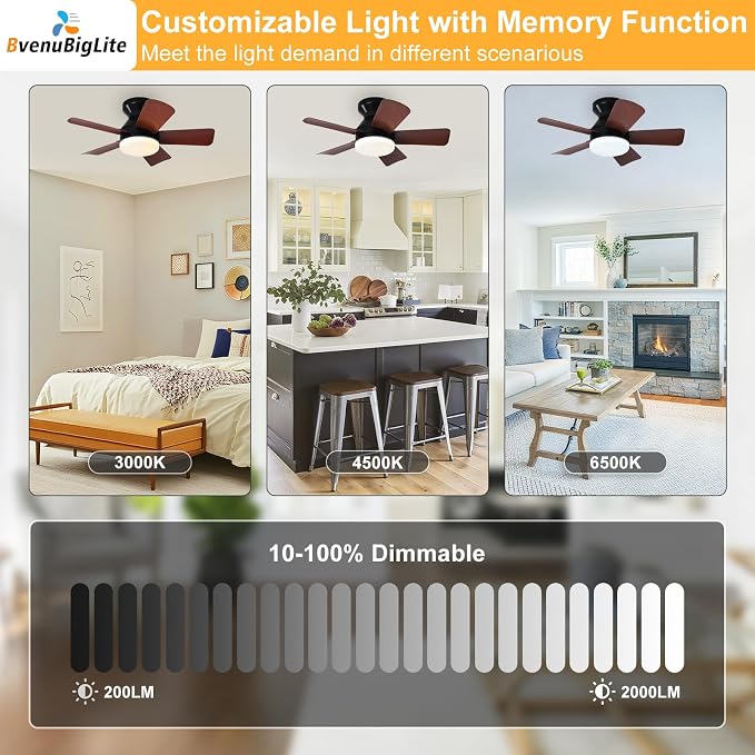 Ceiling fans with lights and Remote: 25 Inch Ceiling Fan with Light Low Profile - Flush Mount Ceiling Fan 5 Blades Reversible 3CCT Dimmable Noiseless for Bedroom (Black& Walnut)