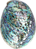Veemoon Polished Abalone Shell Abalone Shell Smudge Bowl Home Ornament Incense Sage Holder Patio Ashtray - Natural Shells - for Smudge, Meditation, Decoration(12-14cm)
